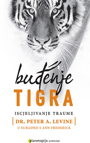 BUĐENJE TIGRA