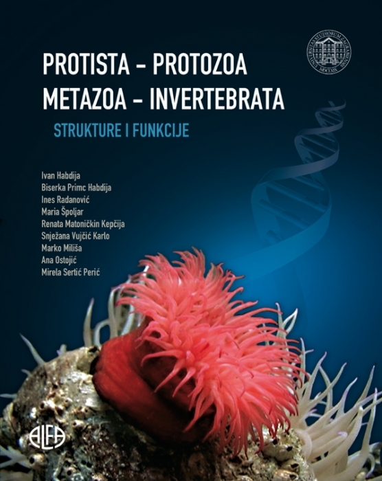 PROTISTA - PROTOZOA METAZOA - INVERTEBRATA strukture i funkcije
